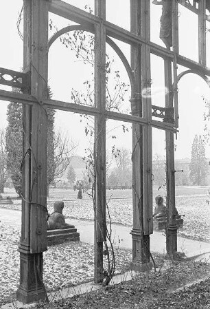 Wintertag im Botanischen Garten