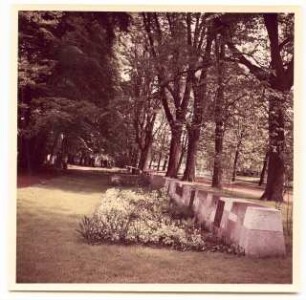 Bundesgartenschau 1955, Kassel: Musterfriedhof