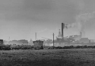 Archivfotografie "staedte_ludwigshafen_verschiedenes_on02"