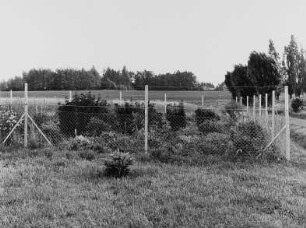 Eingezäunter Garten