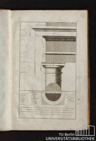 15. Chapiteau et Entablement de l'Ordre Toscan.