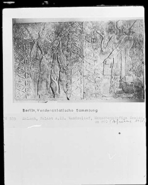 Menschenköpfige Genien und Lebensbaum (Wandreliefbruchstück aus dem Palast Asurnasirpal II.)