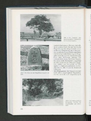 Abb. 6: Der "Taufstein", eine jungsteinzeitliche Grabkammer bei dem Dorfe Poppholz.