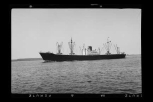 Bieberstein (1953), Frachtschiff, Norddeutscher Lloyd, Bremen, Bau-Nr. 824