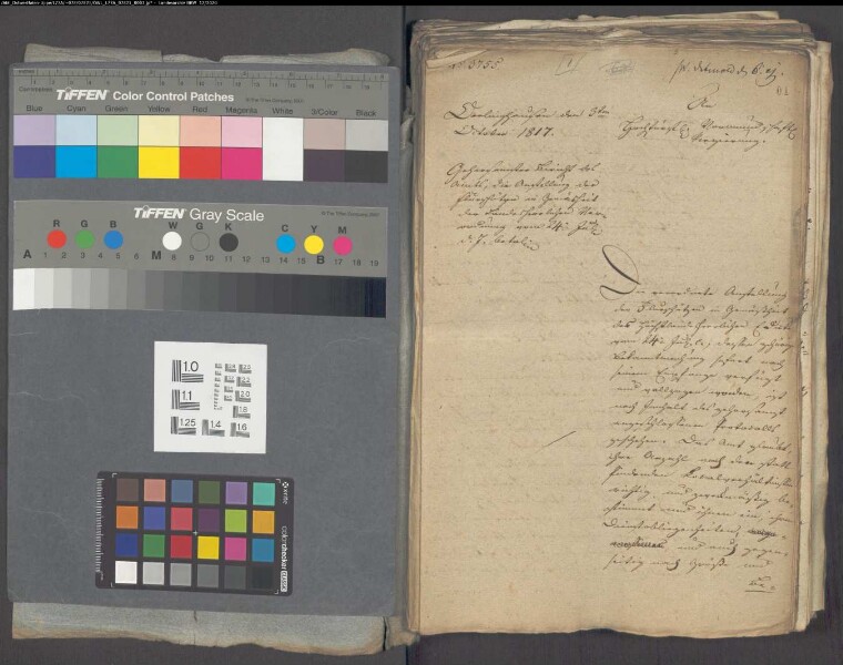 Anstellung der Flurschützen im Amt Oerlinghausen