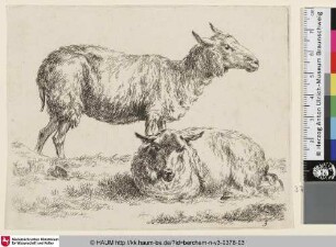 [Ein stehendes und ein ruhendes Schaf; The Set of the Sheep, 3; Un mouton debout [...]]