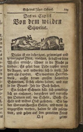 16. Von dem wilden Schweine