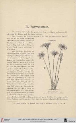 III. Papyrussäulen