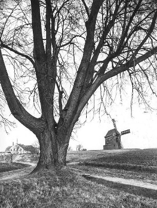 Obercunnersdorf-Kottmarsdorf. Dutschkemühle, Bockmühle, Baujahr 1840 (abgebrochen)