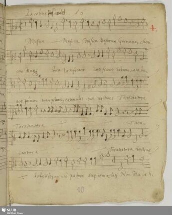 Gallus, Iacobus: Musica musarum germana