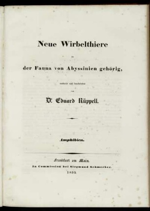 Amphibien