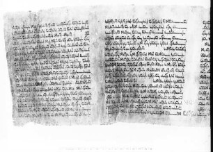 Megilat Ester, Estherrolle - BSB Cod.hebr. 493
