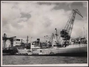 Schiff und Schwimmanleger der British Petrol am Hamburger Hafen