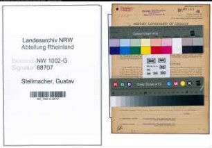 Entnazifizierung Gustav Stellmacher, geb. 05.04.1888 (Schneider)