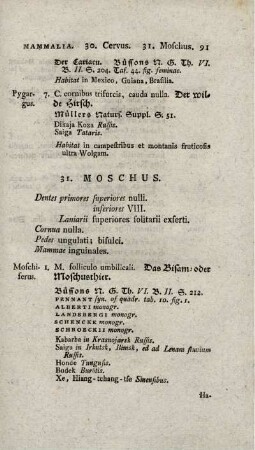 31. MOSCHUS