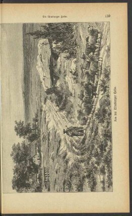 Aus der Lüneburger Heide