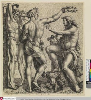 [Apollo und Marsyas]