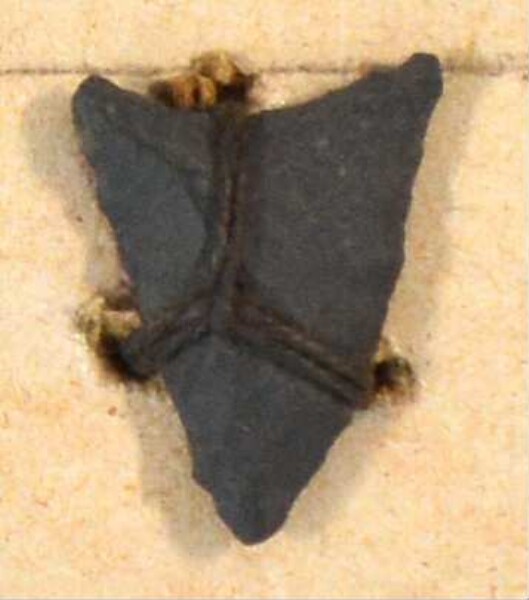 Stone arrowhead