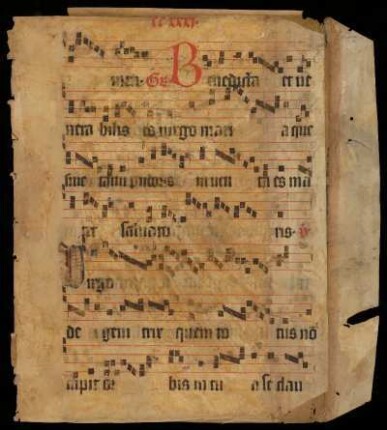 [Graduale]; Officium BMV in sabb. oder Votivmesse BMV.
