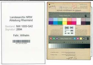 Entnazifizierung Wilhelm Fehr , geb. 23.02.1885 (Maler)