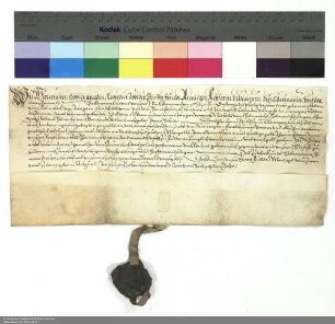 Lehenbrief Wilhelms [Hartmann von Klauer zu Wohra], Abt von Fulda, für Adam von Baumbach und weitere namentlich genannte Personen über 31 Gulden Manngeld