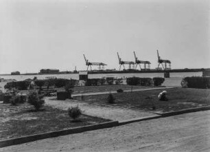 Hafenanlage : Verladekräne im Hafen