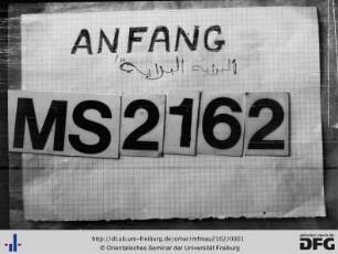 MF Mau 2162
