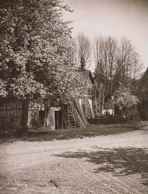 Mitten, OT von Wasserburg (Bodensee), Dorfstraße