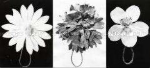 WHW-Abzeichen, Papierblumen, Straßensammlung im Gau Halle-Merseburg vom Oktober 1934