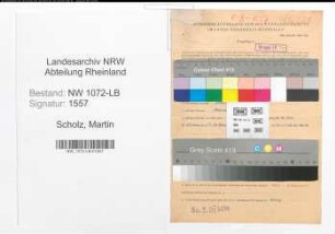 Entnazifizierung Martin Scholz , geb. 26.11.1898 (Rektor)