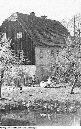 Grillenburg und Pirna, Juni 1954