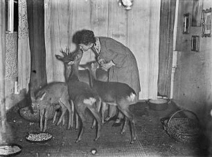 Käthe Hecht beim Füttern ihrer Rehe in der Stube