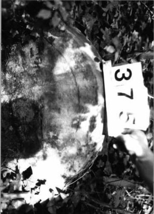 Grabstein 375 (Index: 99803596) Material: Sandstein Zustand: eingesunken(befestigt)/Textverlust Maße HxBxT: 38x64x8 cm Beschreibung: Stele mit Karniesbogen und profiliertem Rand: Grabstein 375