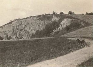 Wittgensdorf. Rochlitzer Quarzporphyr. Anfänge der säulenförmigen Absonderung