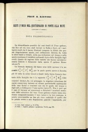 Resti D' Orso Nel Quaternario Di Ponte Alla Nave