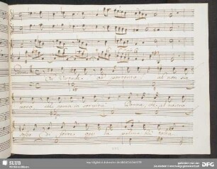 Recitativo: Oh virtude oh portento