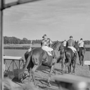 Galopprennbahn Hoppegarten, Jockey auf seinem Rennpferd vor dem Rennen