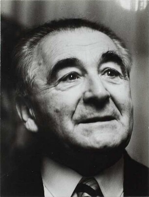 Jiri Marek