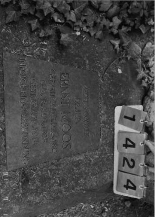 Grabstein 1424 [Hahn S. 154 Grab-Nr. 2028]: Grabstein 1424 (Detailaufnahme) [Hahn S. 154 Grab-Nr. 2028]