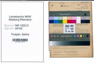 Entnazifizierung Aenne Trueyen, geb. 08.11.1902 (Schneiderin)