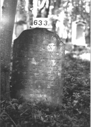 Grabstein 633 (Index: 99900633) Material: Sandstein Zustand: angewittert Maße HxBxT: 85x53x8 cm Beschreibung: Stele mit geschweiftem Bogenabschluss, im Bogenfeld Blüte, unter der Inschrift Ranken Symbolik: Blüten, Ranken: Grabstein 633
