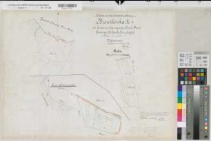Osterwick (Rosendahl), Zusammenlegung Horst, Brouillonkarte I Holtwick Flur 5;6