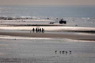 Frankreich. Haute Normandie. Seine Maritime. Sainte Marguerite sur Mer. Fischer und Garnelensammler im Abendlicht