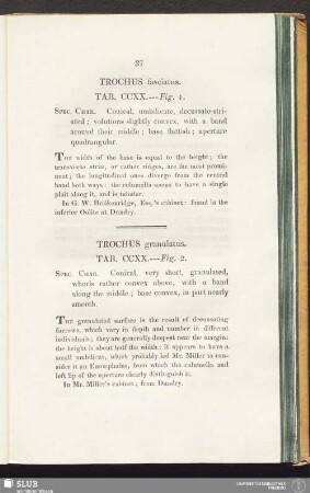 Trochus granulatus. Tab. CCXX. --- Fig. 2