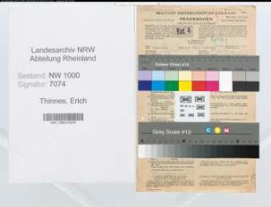 Entnazifizierung Erich Thinnes, geb. 02.09.1913 (Zollinspektor)