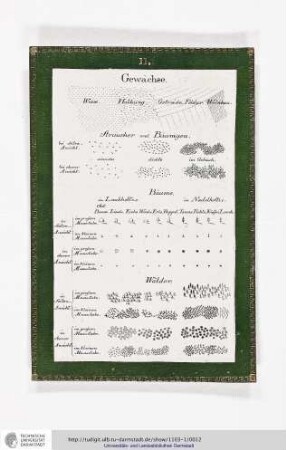 Blatt 11: Gewächse