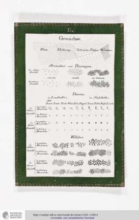 Blatt 11: Gewächse