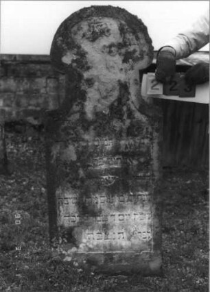 Grabstein 223 (Index: 100115112) Material: Sandstein Zustand: stark verwittert im Giebel und im oberen Teil Maße HxBxT: 140x61x9 cm Beschreibung: Stele mit Hufeisenbogen: Grabstein 223