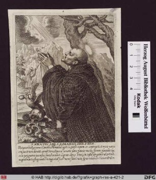 Der Heilige Amatus von Sitten betet zum Himmel, aus dem ein Lichtrahl fällt, im Vordergrund ein Rabe, der einen Wasserkrug umgestoßen hat.
