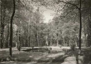 Wasserbassin